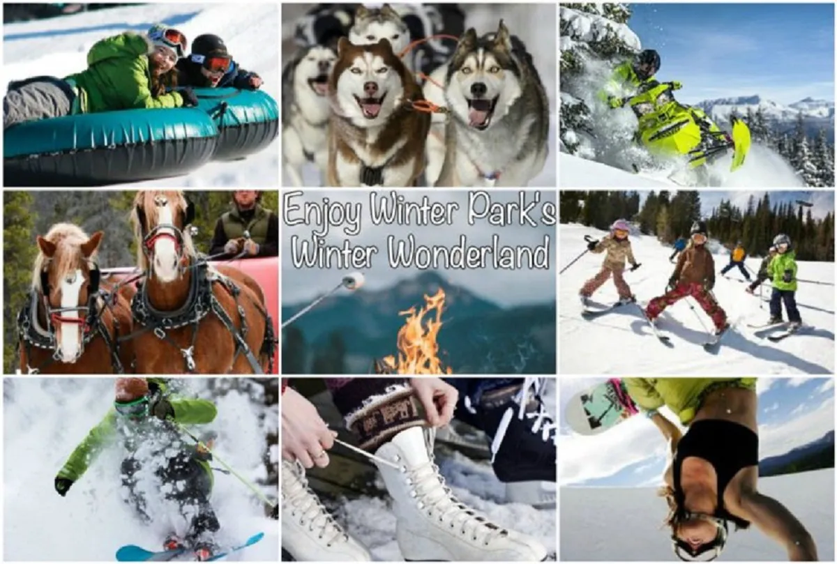 A lively winter scene with people tubing, huskies for dog sledding, snowboarders, skiers, children playing in the snow, and a cozy fire pit. The image is bustling with activity and camaraderie, capturing the essence of group adventures and fun in the snow.